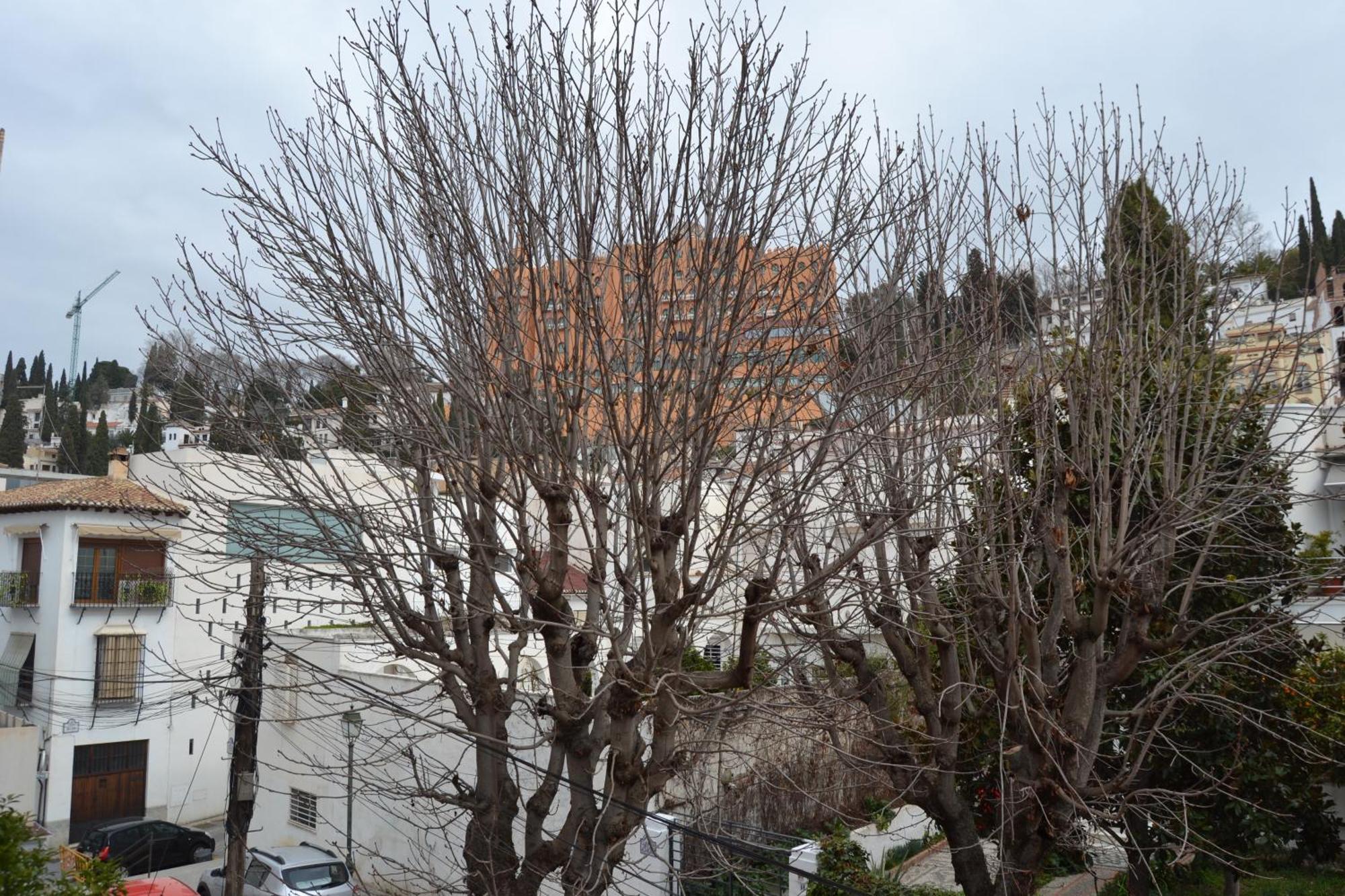 Appartement Carmen Del Cadi Grenade