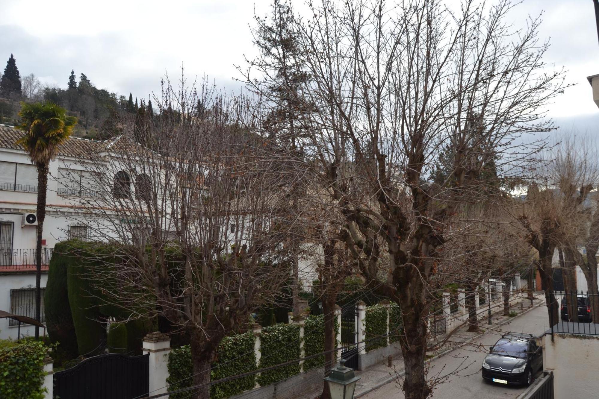 Apartment Carmen Del Cadi Granada